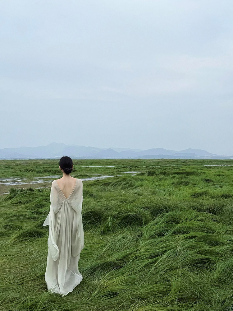 Neues chinesisches, locker ges – Photography Zen Bewertung und Preis