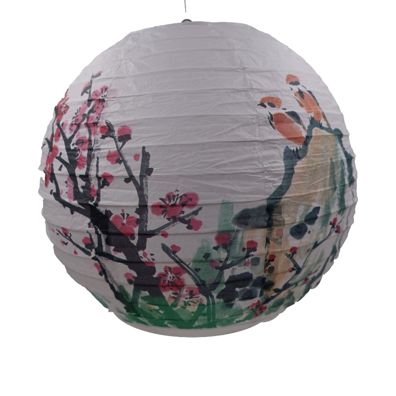 30cm Bedruckte Papier-Laternen – Photography Day Bewertung und Preis